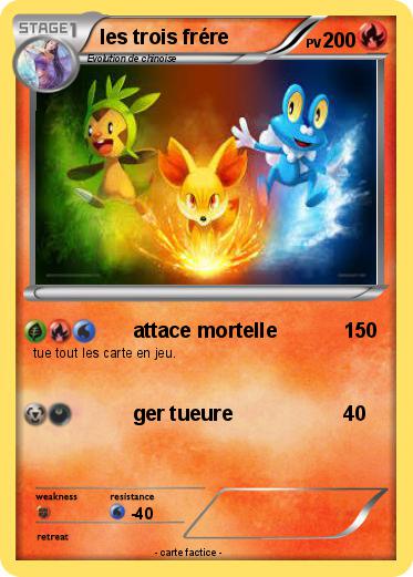 Pokemon les trois frére
