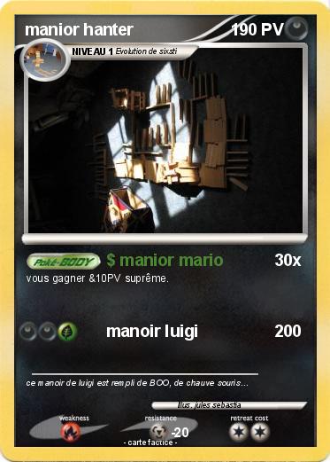 Pokemon manior hanter