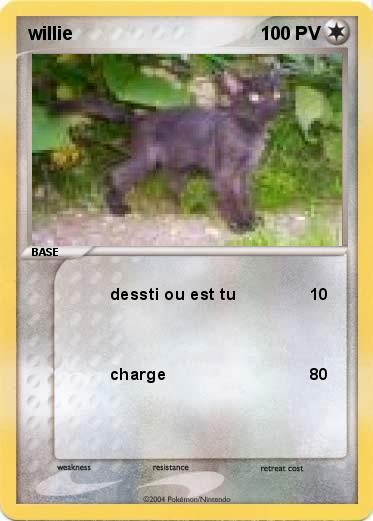 Pokemon willie