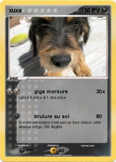 Pokemon xuxa