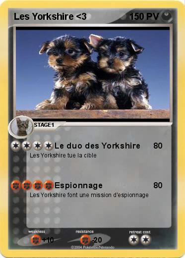 Pokemon Les Yorkshire <3