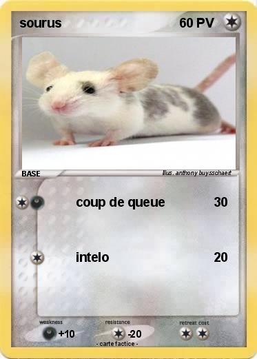 Pokemon sourus
