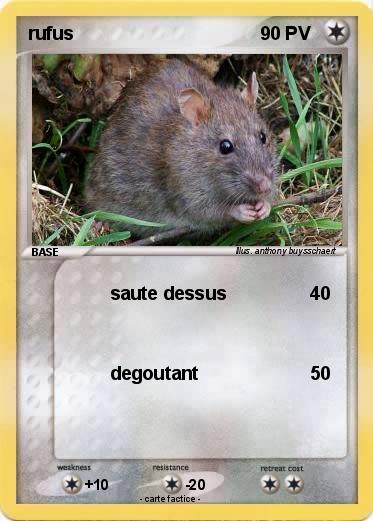 Pokemon rufus