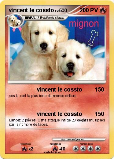 Pokemon vincent le cossto