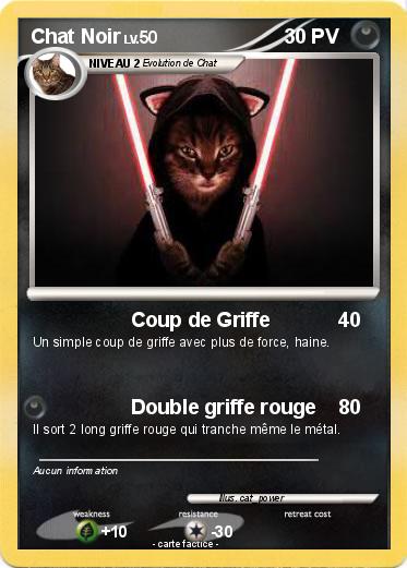 Pokemon Chat Noir