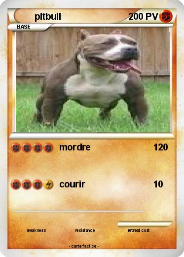 Pokemon pitbull