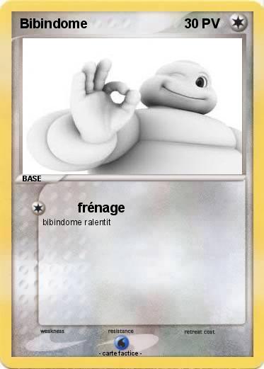 Pokemon Bibindome
