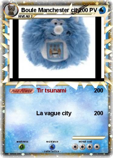 Pokemon Boule Manchester city