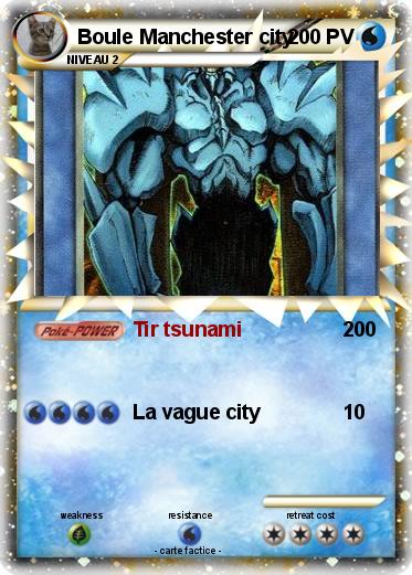 Pokemon Boule Manchester city