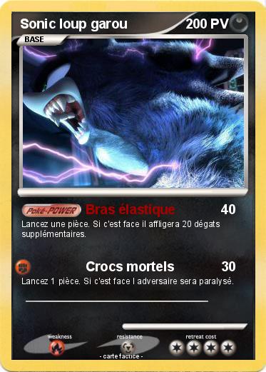 Pokemon Sonic loup garou