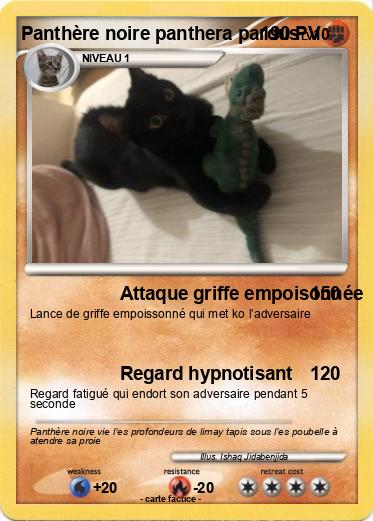Pokemon Panthère noire panthera pardus