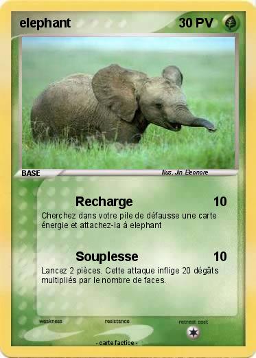Pokemon elephant