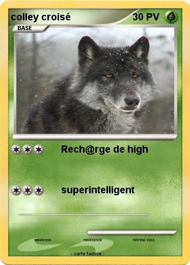 Pokemon colley croisé