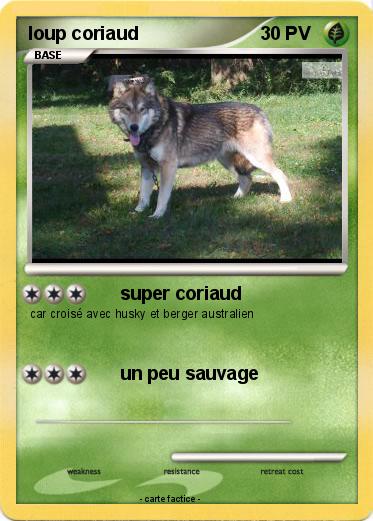 Pokemon loup coriaud