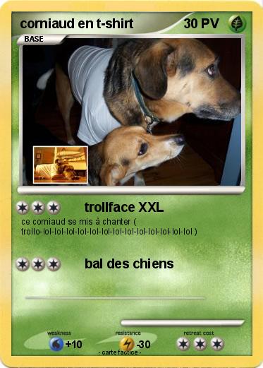 Pokemon corniaud en t-shirt