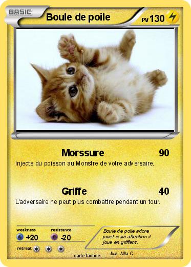 Pokemon Boule de poile