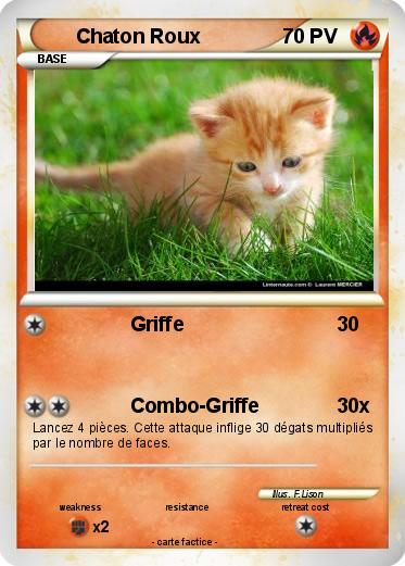 Pokemon Chaton Roux