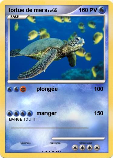 Pokemon tortue de mers