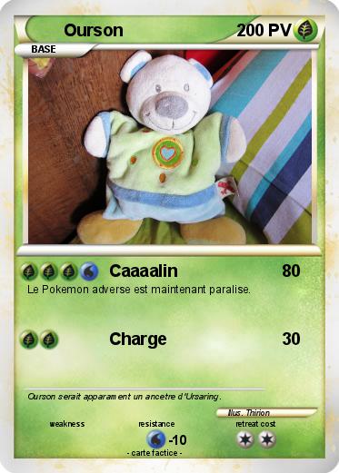 Pokemon Ourson