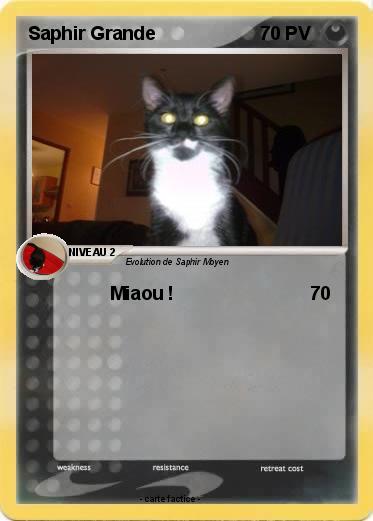 Pokemon Saphir Grande