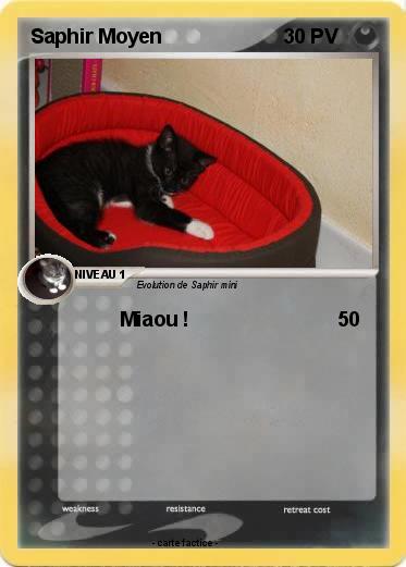 Pokemon Saphir Moyen