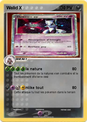 Pokemon Walid X