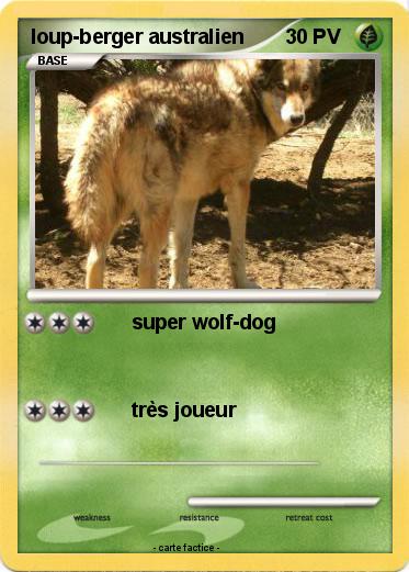 Pokemon loup-berger australien