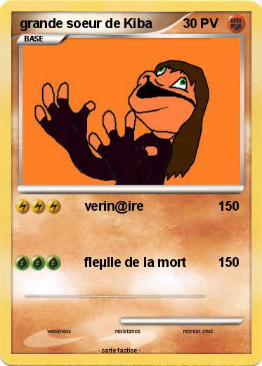 Pokemon grande soeur de Kiba