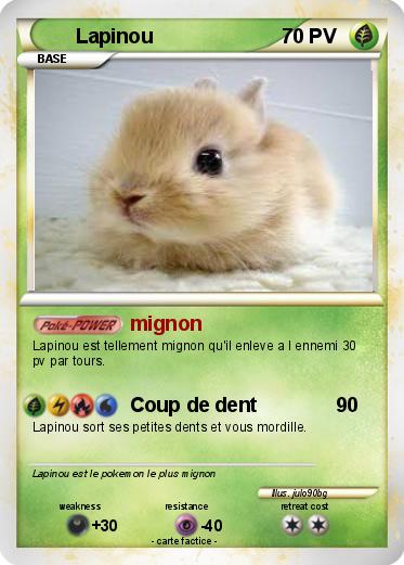 Pokemon Lapinou