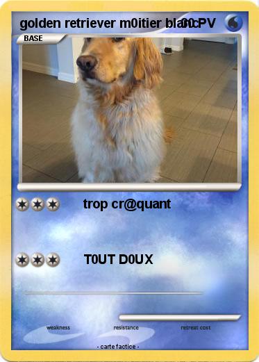 Pokemon golden retriever m0itier blanc