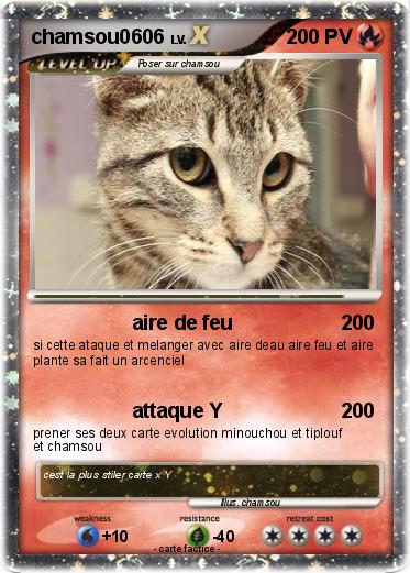 Pokemon chamsou0606