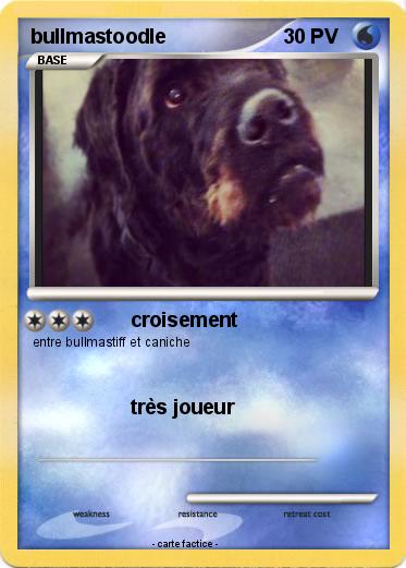 Pokemon bullmastoodle