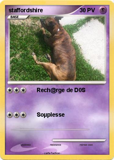 Pokemon staffordshire