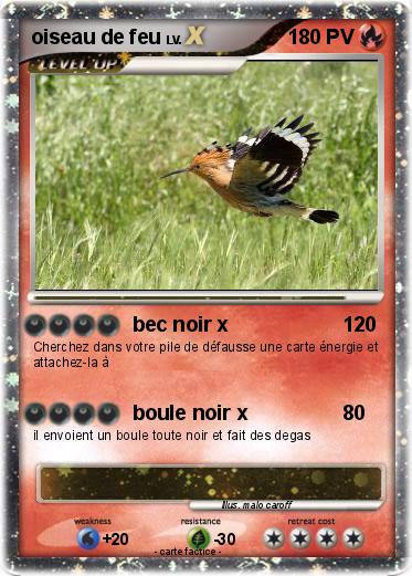 Pokemon oiseau de feu