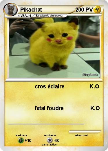 Pokemon Pikachat