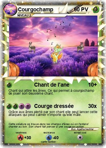Pokemon Courgochamp