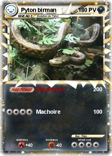 Pokemon Pyton birman
