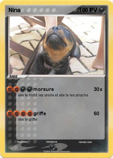 Pokemon Nina