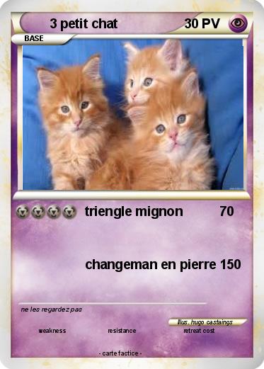 Pokemon 3 petit chat