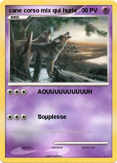 Pokemon cane corso mix qui hurle