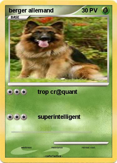 Pokemon berger allemand