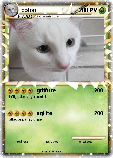 Pokemon coton