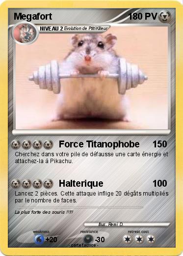 Pokemon Megafort