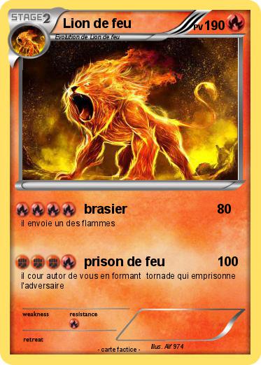 Pokemon Lion de feu