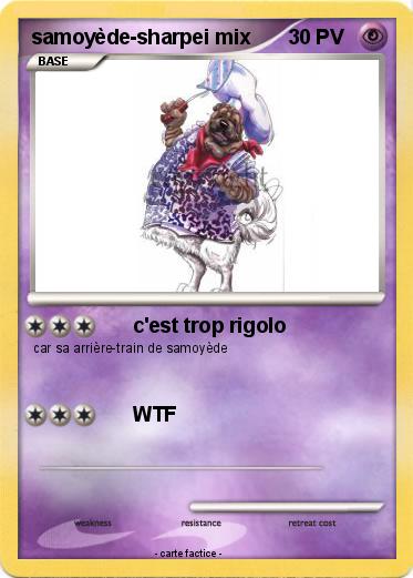 Pokemon samoyède-sharpei mix