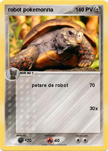Pokemon robot pokemonna