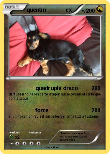 Pokemon quentin             ex