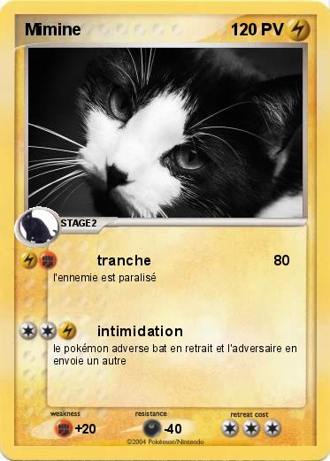 Pokemon Mimine