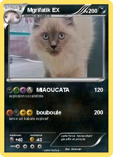 Pokemon Mgrifatik EX