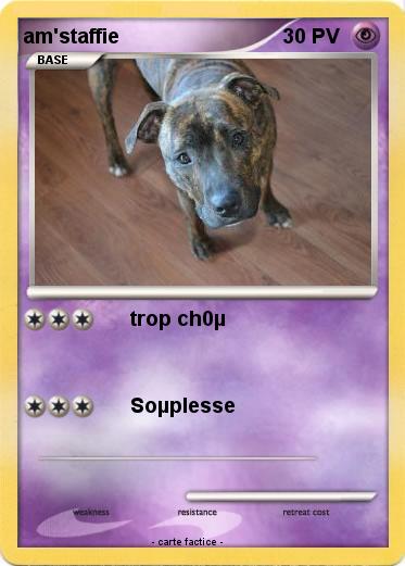 Pokemon am'staffie